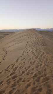 GC-Dunas de Maspalomas sunset 2026-017.jpg